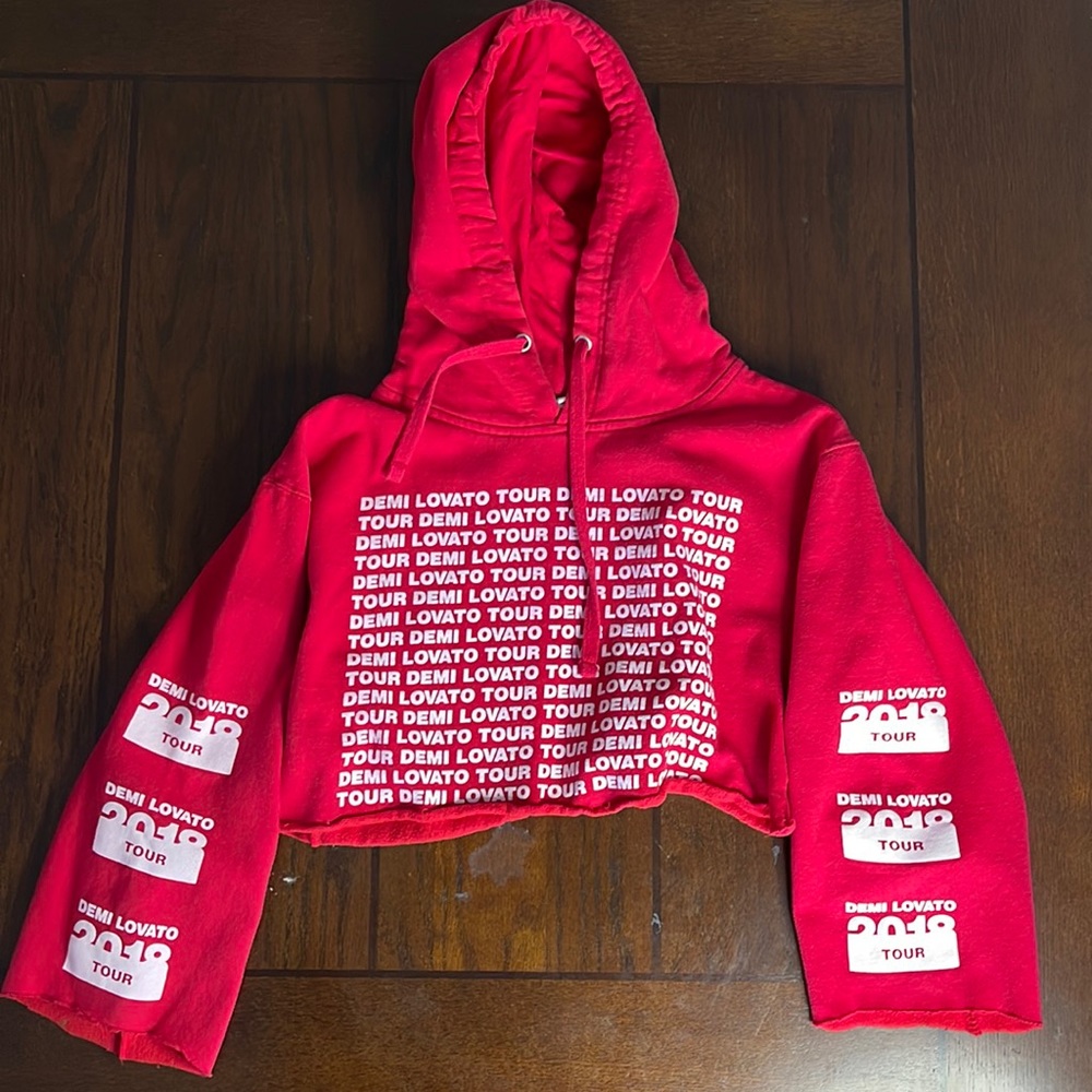 Demi Lovato cropped hoodie 2018 tour size small